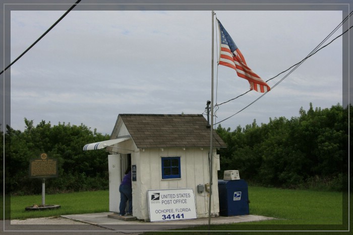 Gator County Tour