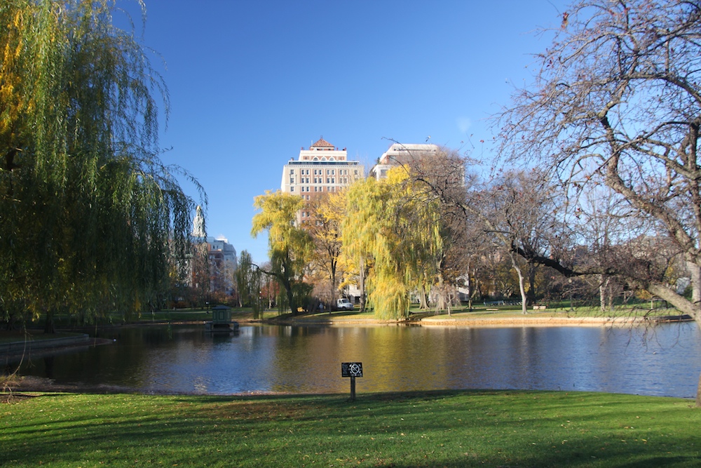 Boston Common