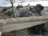 agate-bridge-im-petrified-forest-3