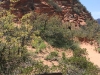 Angels Landing