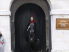 Horse Guards